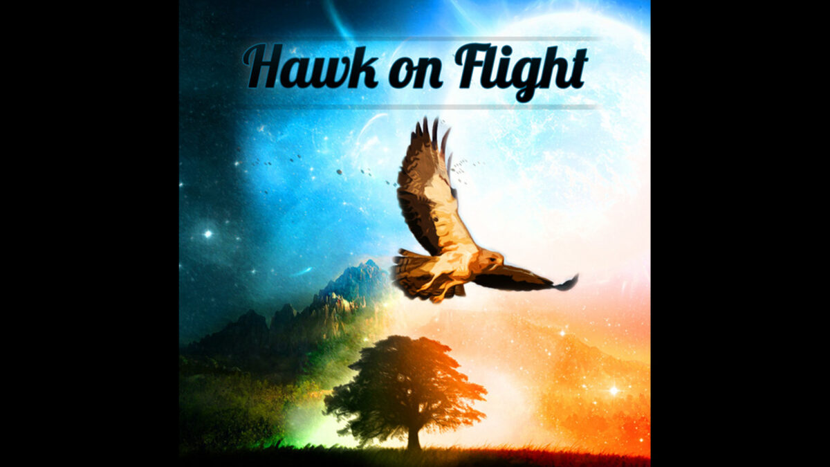 Bild på Hawk on Flight