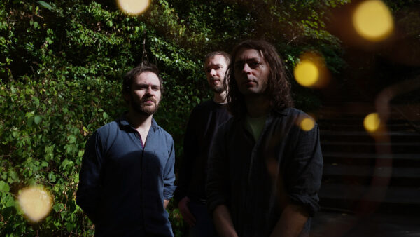 Bild på Mammal Hands